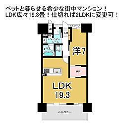 アルファステイツ新町 1SLDKの間取図画像