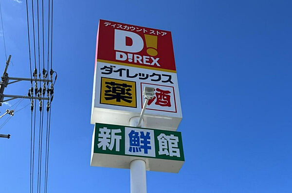 ダイレックス　田宮店