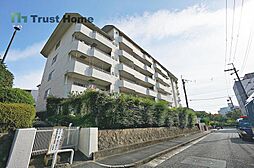 緑丘コータース