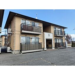 パナハイツララベリー桑の実　C