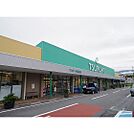 スーパー「ツルヤ小諸東店まで1888ｍ」