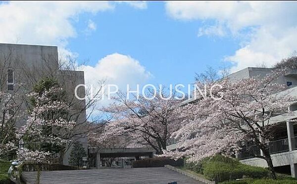 私立明治大学付属中野八王子中学校 徒歩24分。 1870m