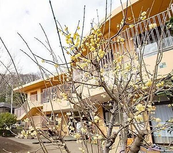 八王子ひまわり保育園 徒歩4分。 260m