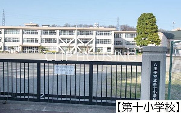 八王子市立第十小学校 徒歩9分。 700m