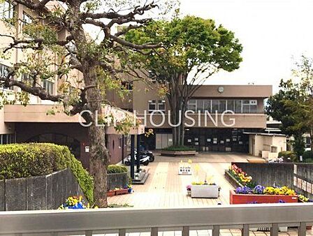 相模原市立陽光台小学校 徒歩7分。 520m