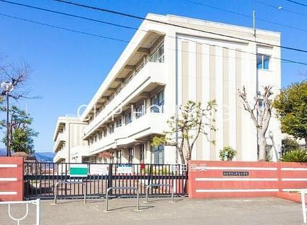 相模原市立新宿小学校 徒歩15分。 1130m