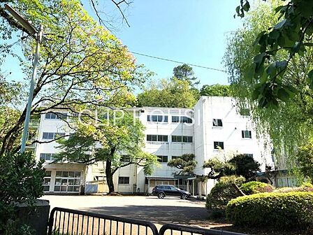 八王子市立浅川中学校 徒歩12分。 920m