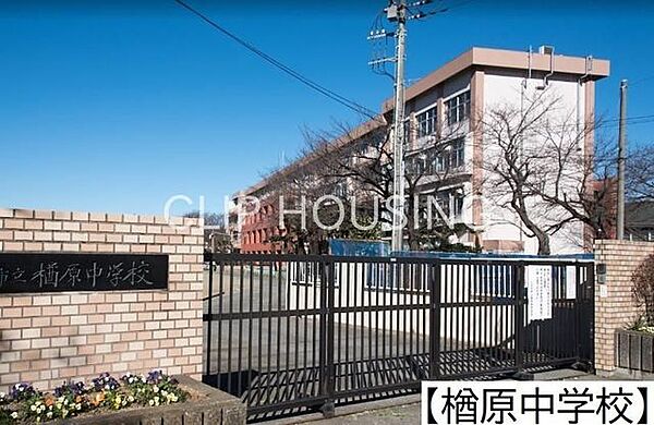 八王子市立楢原中学校 徒歩4分。 260m
