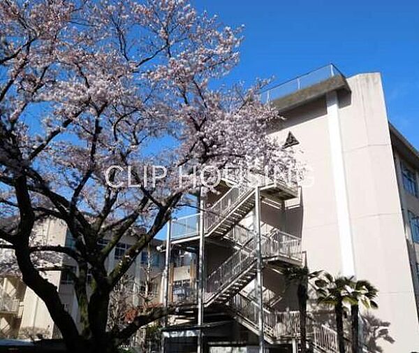 八王子市立東浅川小学校 徒歩4分。 280m