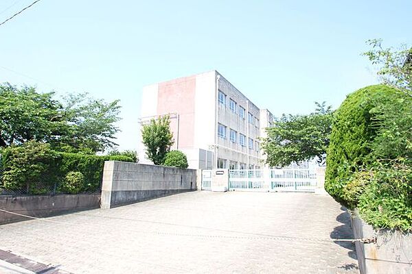 画像30:名古屋市立桜小学校