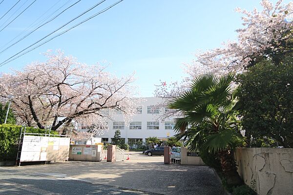 画像16:愛知県立熱田高等学校