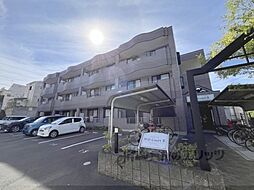 ウィルコートII