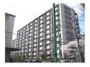 東野駅より徒歩11分 5階 築53年6ヶ月の賃貸物件