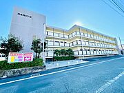 カルカソンヌ 2階 築32年3ヶ月の賃貸物件