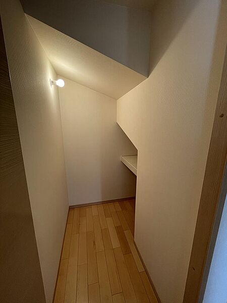 玄関正面は階段下収納があります。