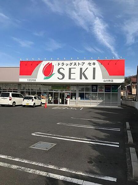 ドラッグストア　SEKI 950m