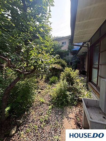 庭
