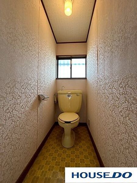 現地写真