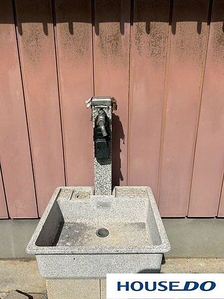 現地写真