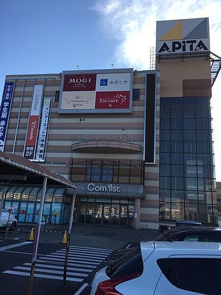 アピタ足利店 1290m