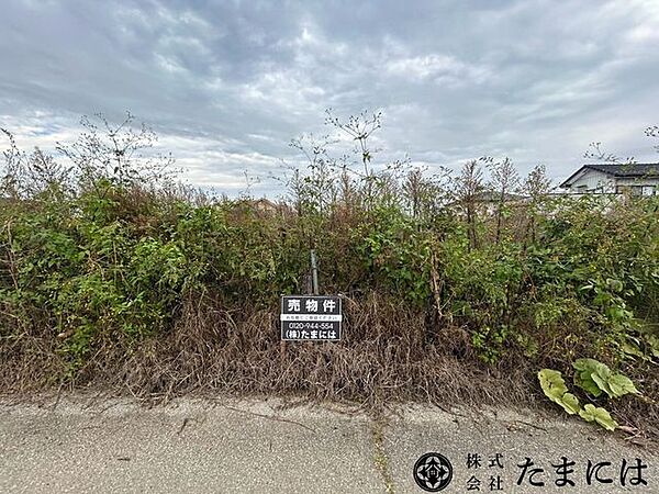 外観：309000101386