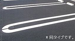 7 / 14