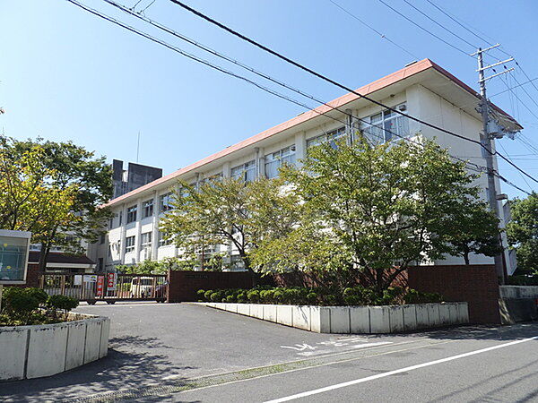 小学校「近江八幡市立桐原東小学校まで805m」