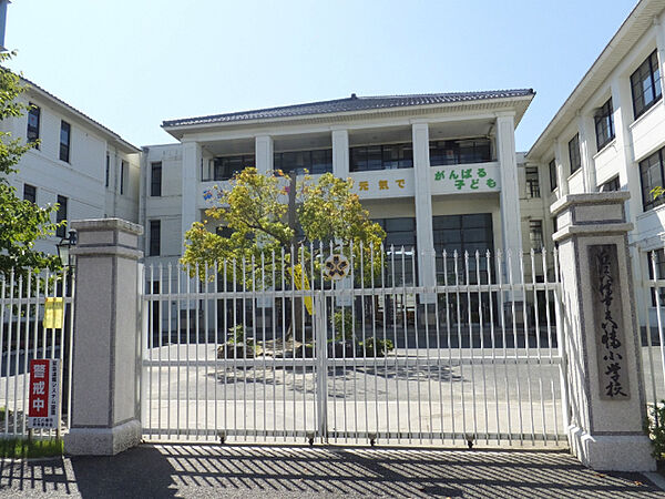 小学校「近江八幡市立八幡小学校まで1131m」