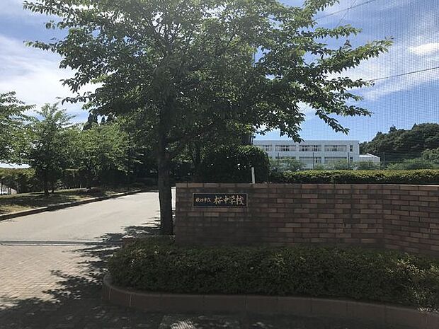 秋田市立桜中学校 1500m