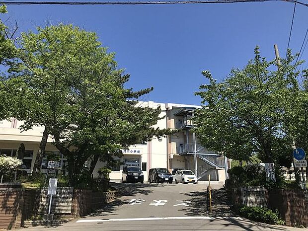秋田市立旭川小学校 550m