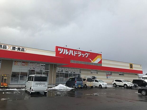 ツルハドラッグ　本荘南店 700m