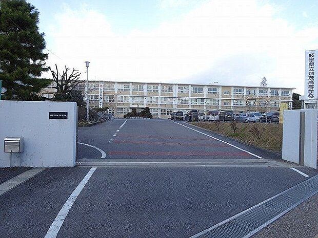 岐阜県立加茂高等学校 450m