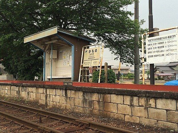 長良川鉄道加茂野駅 1100m