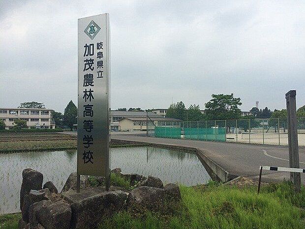 岐阜県立加茂農林高校 500m