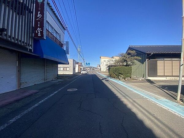 前面道路含む現地写真