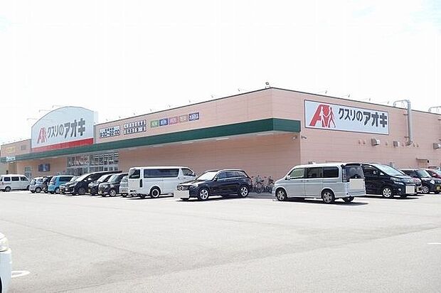 クスリのアオキ新池店 550m