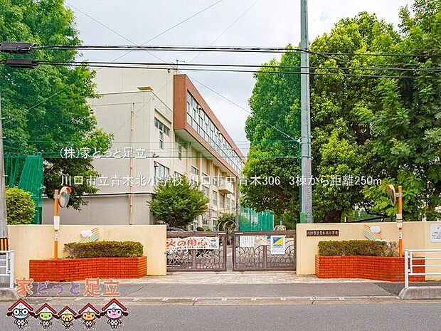 川口市立青木北小学校 撮影日(2022-07-22) 250m