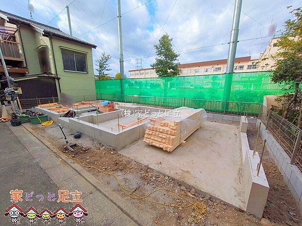 撮影日(2025-11-18 00:00:00)