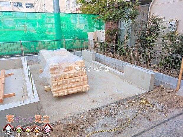 撮影日(2025-11-18 00:00:00)