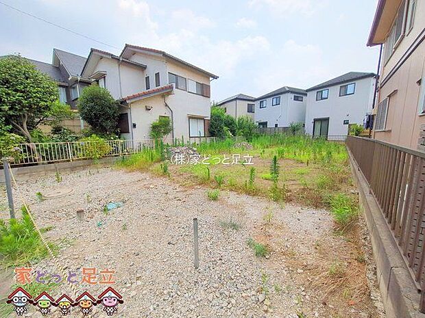 撮影日(2025-07-09 00:00:00)