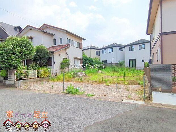 撮影日(2025-07-09)