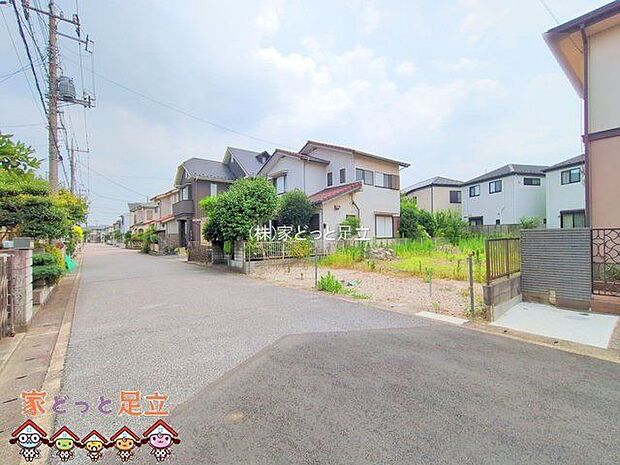 撮影日(2025-07-09)