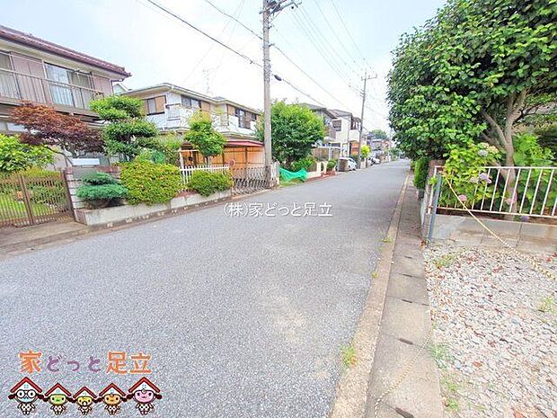 撮影日(2025-07-09 00:00:00)