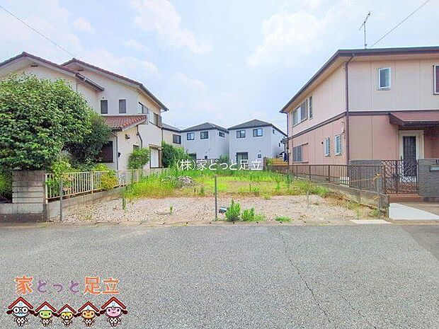 撮影日(2025-07-09 00:00:00)