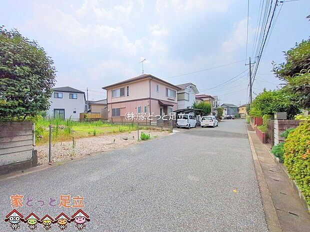 撮影日(2025-07-09 00:00:00)