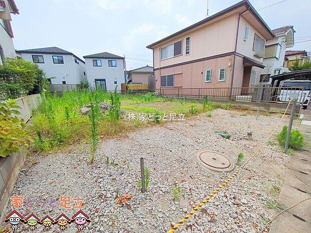 撮影日(2025-07-09 00:00:00)