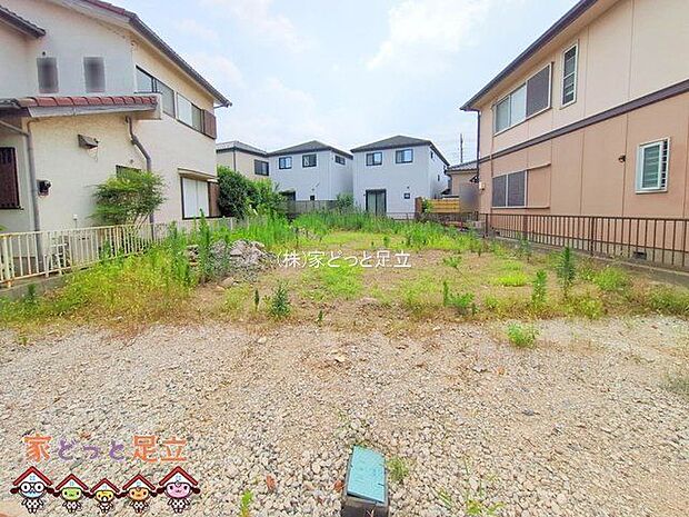 撮影日(2025-07-09 00:00:00)