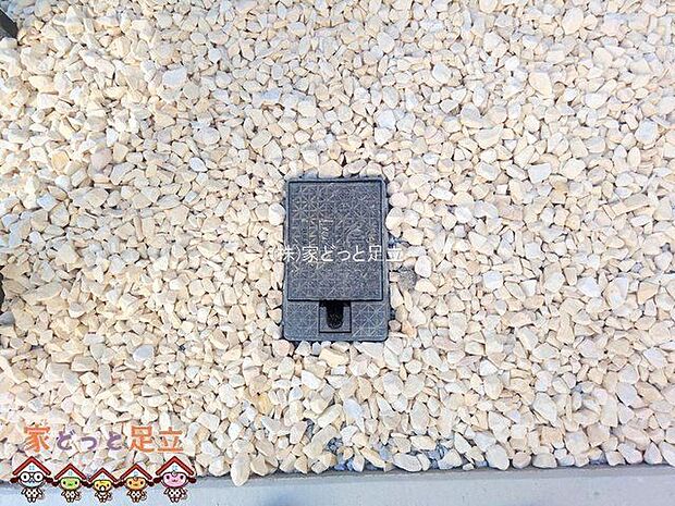 撮影日(2025-12-08 00:00:00)