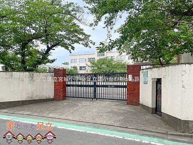 足立区立宮城小学校 撮影日(2023-05-26) 300m
