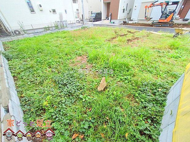 撮影日(2025-10-20 00:00:00)